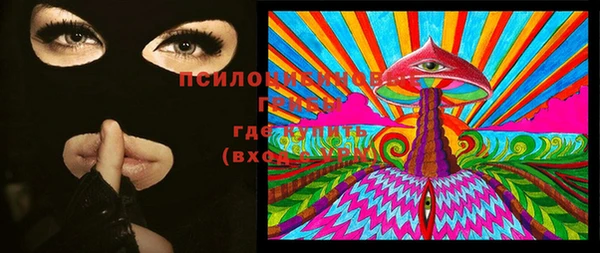 марки lsd Бородино