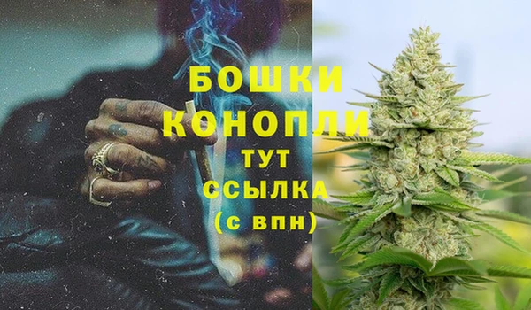 марки lsd Бородино